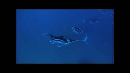 E-mantra feat. Athena Etana - Since You Were Gone