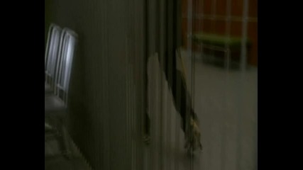 House M.d. Сезон 5 Епизод 14 [1/5] bg аудио