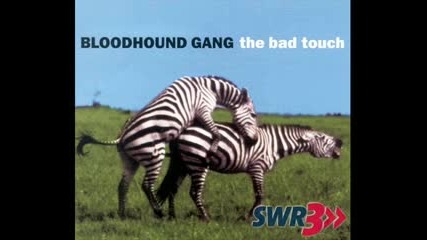Random Funny Pictures