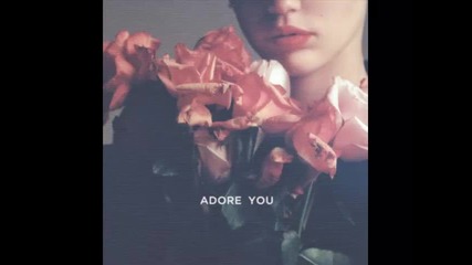 *2014* Miley Cyrus - Adore you ( Acoustic version )