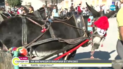 Възстановяват магарешкото рали в Гурково