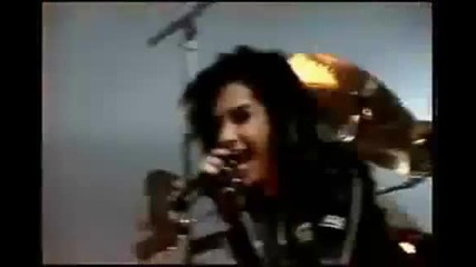 Bill und Tom - Numa 