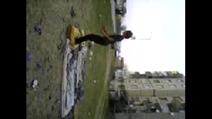fipche