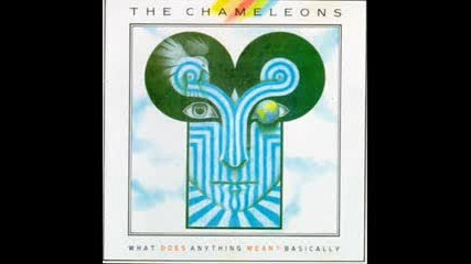 The Chameleons - Nostalgia
