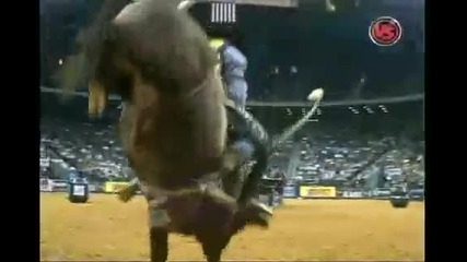 Dustin Elliott Vs. Red Bull 