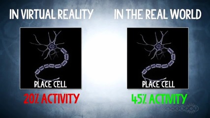Reality Check - What Does the Oculus Rift Do To Your Brain