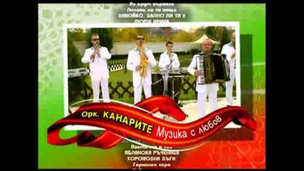 Канарите 2008