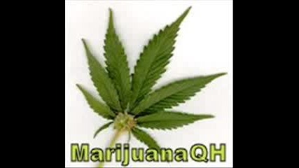 I - Doser - Marijuana