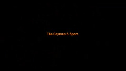 Porsche Cayman S 