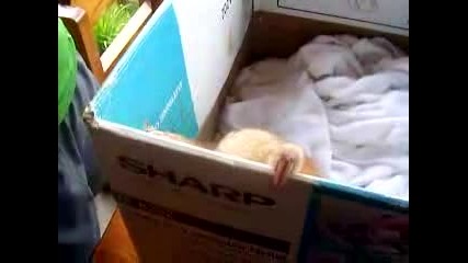 Какъв мързел само ;d много смях 