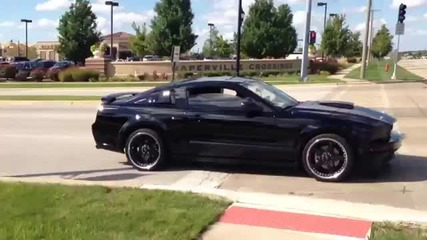 Mustangs