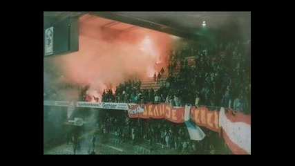 Delije Sever - Снимки