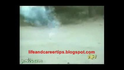 Funny Video