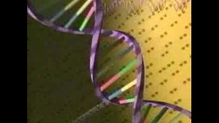 Dna Structur