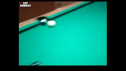 Куче играе билярд!