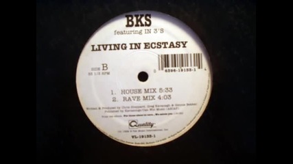 Bks - Living In Ecstasy (house Mix) 1992 - Vinyl
