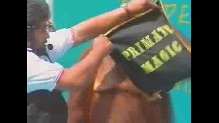 Funny Animal Show