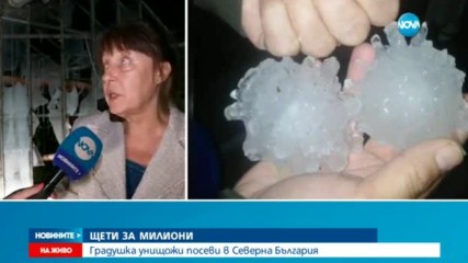 Новините на NOVA (03.07.2017 - лятна късна)