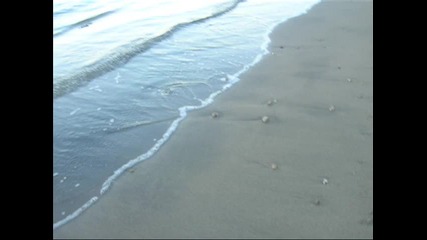 Enya - Caribbean Blue 