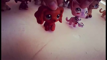 lps mv-drop that kitty (ft lps_liatd)