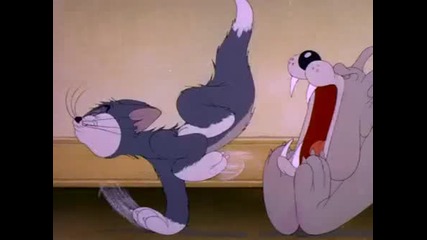 [hq] Tom and Jerry [hq]