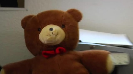 Killer Teddy Bear 