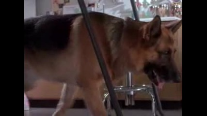 K-911 Trailer 1997