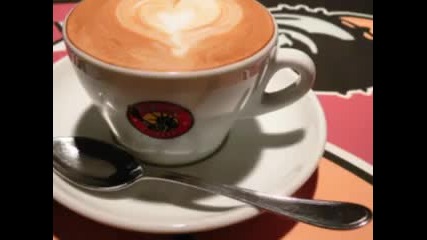 Jesse Cook Cafe Mocha