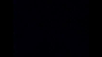 undertaker tribute