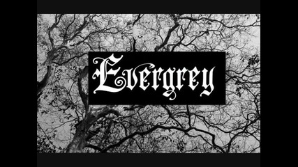 Evergrey - Im sorry - превод 