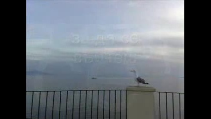 Nikos Vertis Signomi prevod bg 