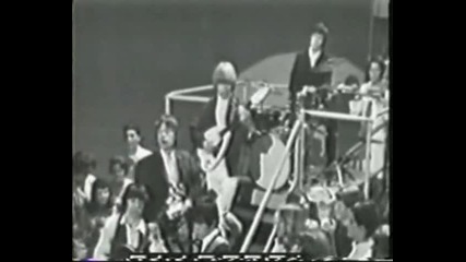 The Rolling Stones - Little Red Rooster