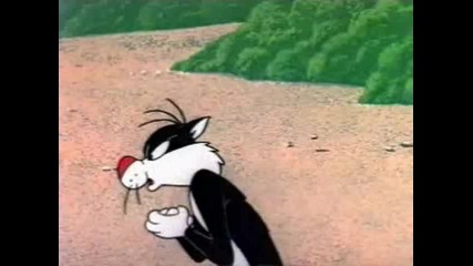 Tweety And Sylvester - Hawaiian Aye Aye 