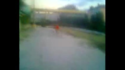 gogo vs ceco