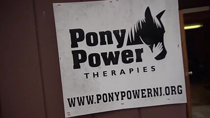 Local Heroes: Pony therapies