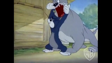 Tom and Jerry Greatest Chases Volume 3 Dog Chase