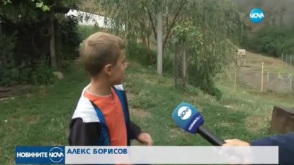 Защо мечките слязоха при хората?