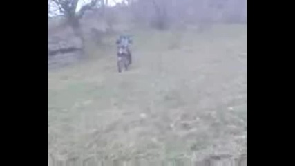 Video005