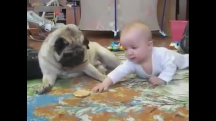 Кучето не иска да си раздели бисквитката с бебето