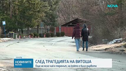 След трагедията на Витоша: Още не ясно чий е теренът, на който е било дървото