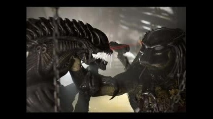 Alien Vs Predator (predator)