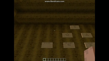 Minecraft Random server ep1.