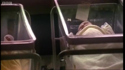 Babys unused immune systems - Horizon - Bbc 