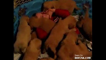 Този сигурно и с тях спи ( Смях )