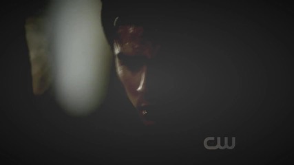 Damon and Elena - 2x22