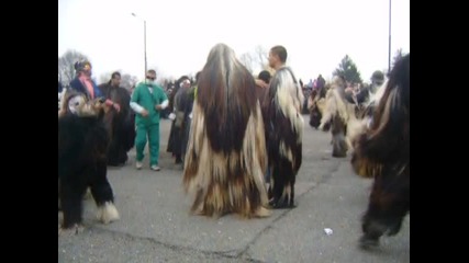 Kukeri 2011 Meden Rudnik