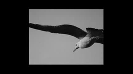 Beddua - Gurdal