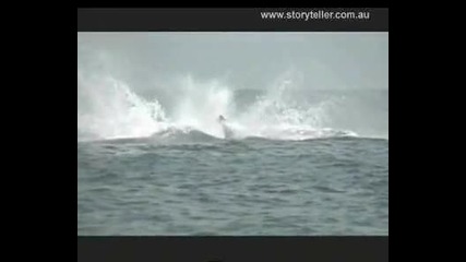 Awesome Whales Music Video 