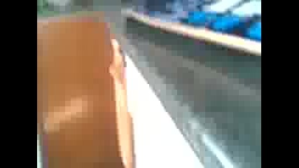 skate