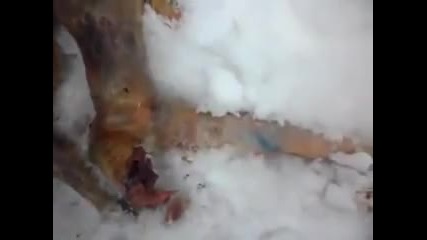 Мъртво извънземно намерено в Русия